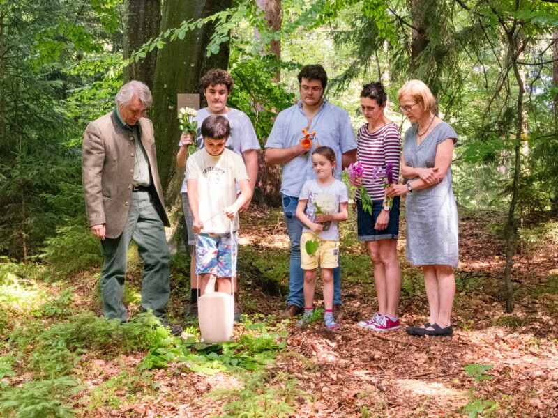 Naturbestattung Baumbestattung Klosterwald