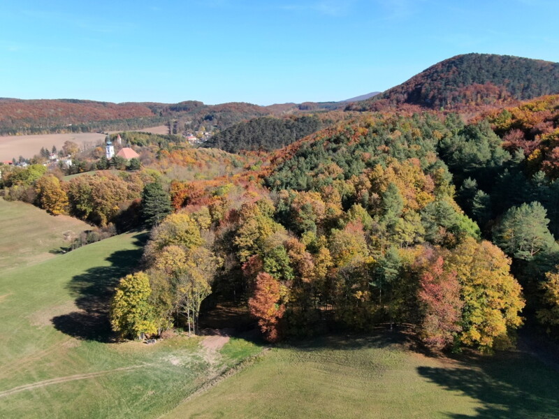 Baumbestattung Klosterwald