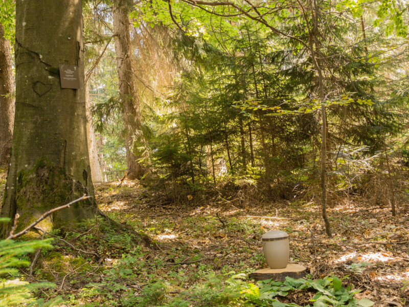 Naturbestattung Baumbestattung Klosterwald